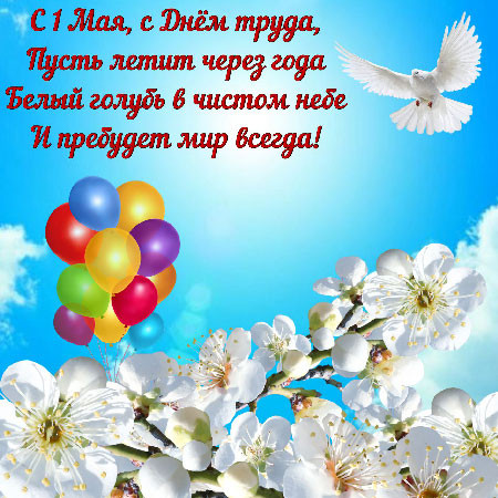 фото новости
